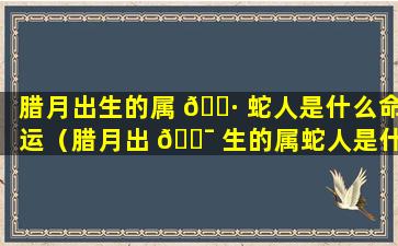 腊月出生的属 🌷 蛇人是什么命运（腊月出 🐯 生的属蛇人是什么命运女）